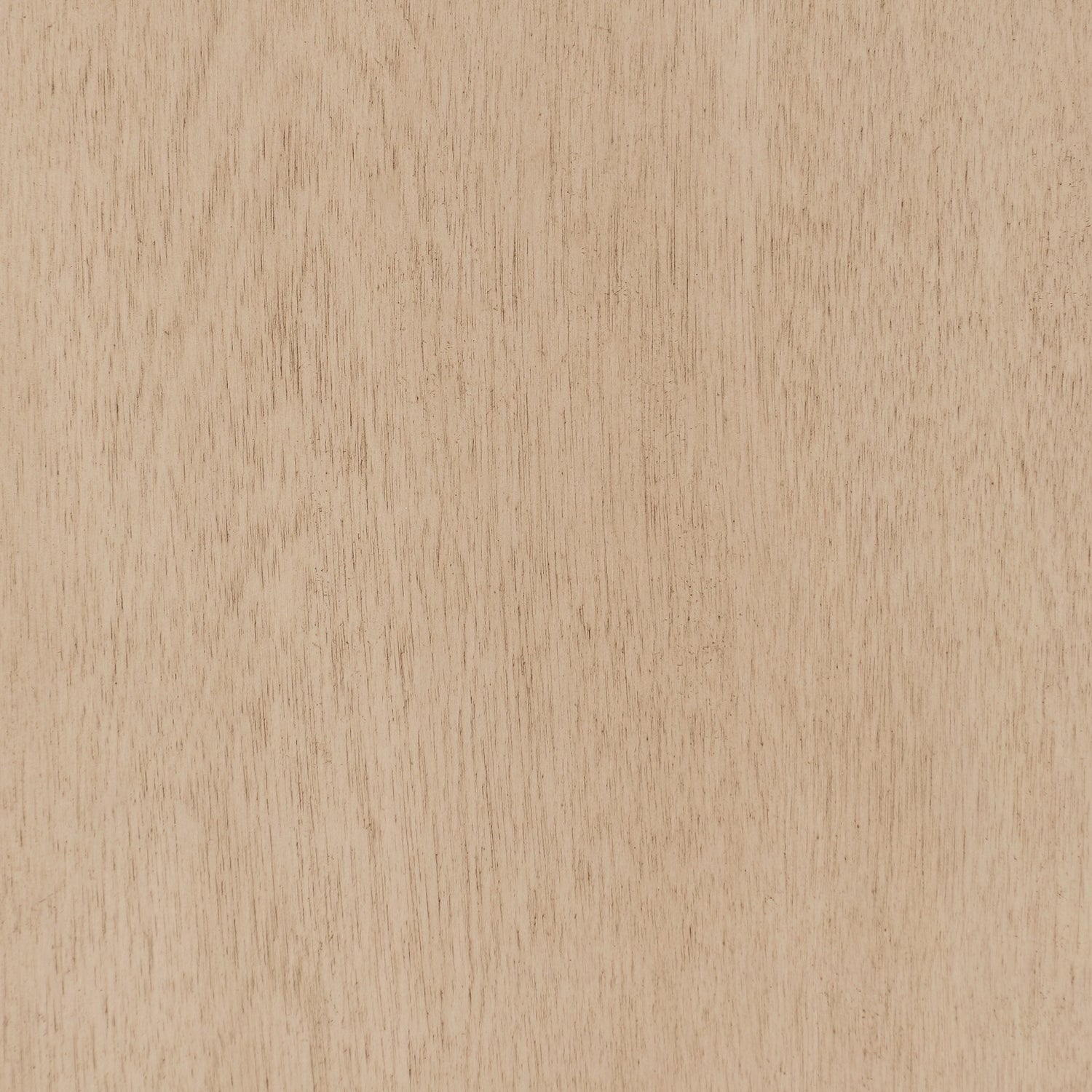 BANKS 30IN VANITY WITH SLAB DOOR IN SAHARA BIRCH WHITE QUARTZ TOP & CERAMIC BASIN