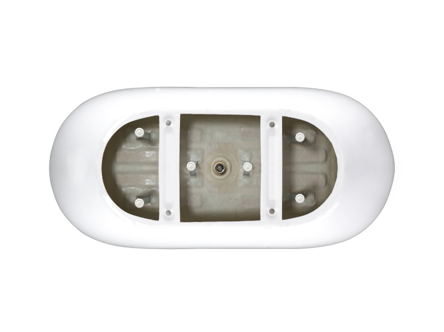 Golden retriever puppy playing with a ball