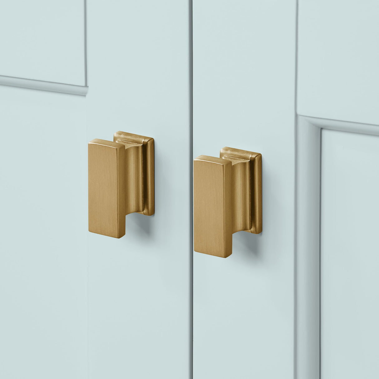 Golden retriever puppy playing with a ball