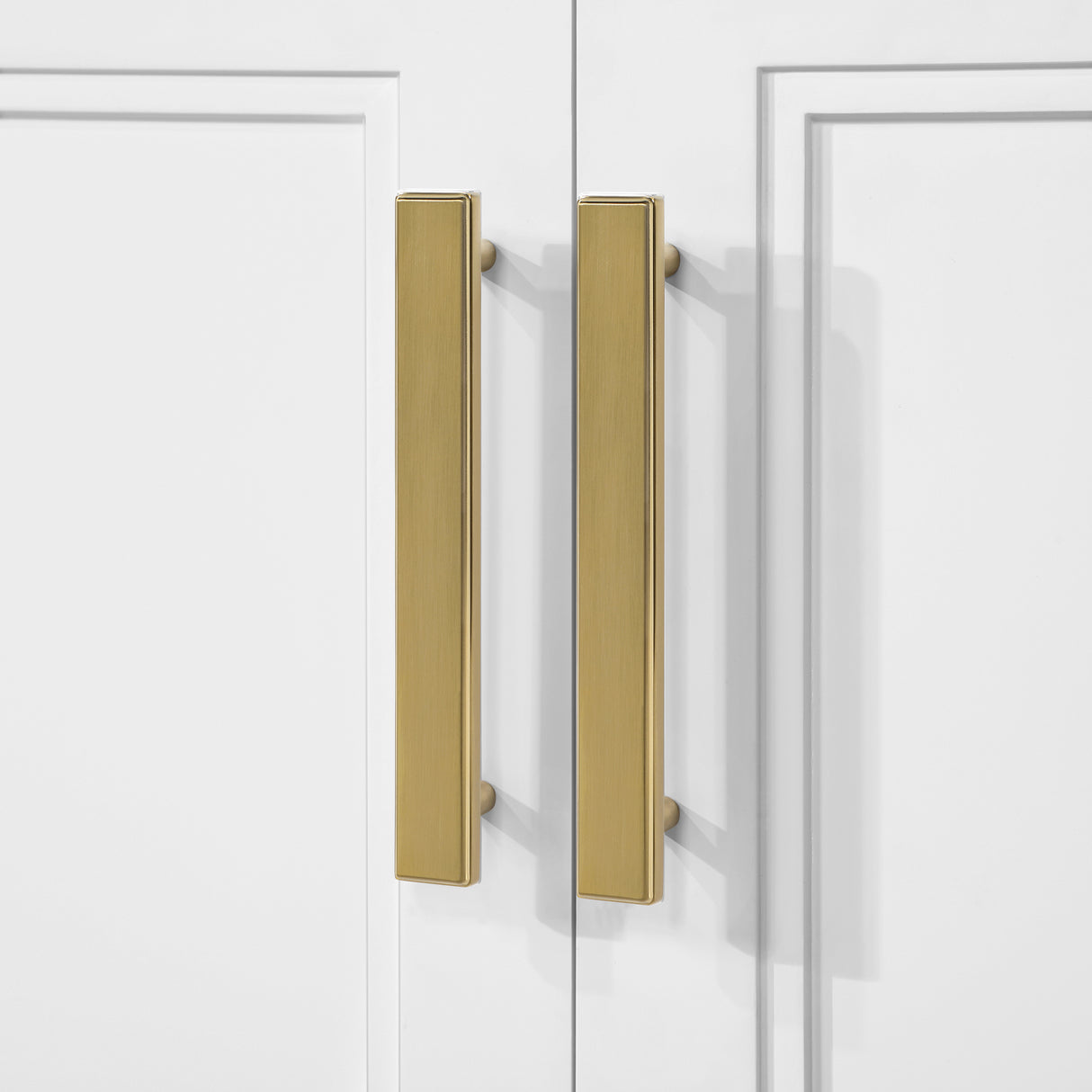 CAHCAFS24SHSC-parent