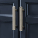 Golden retriever puppy playing with a ball