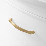 Golden retriever puppy playing with a ball