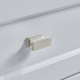 Golden retriever puppy playing with a ball