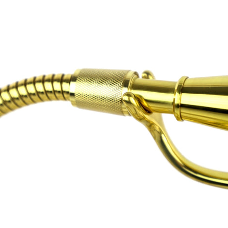 Golden retriever puppy playing with a ball