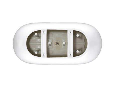 Golden retriever puppy playing with a ball