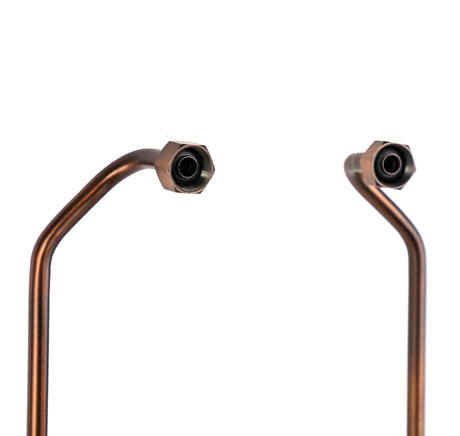 Golden retriever puppy playing with a ball