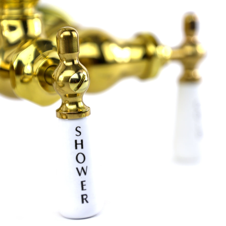 Golden retriever puppy playing with a ball