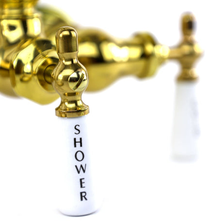Golden retriever puppy playing with a ball