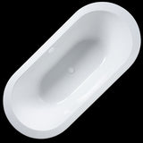 Golden retriever puppy playing with a ball