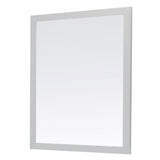 Golden retriever puppy playing with a ball