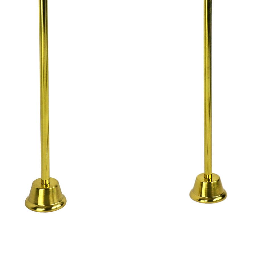 Golden retriever puppy playing with a ball