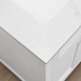 Golden retriever puppy playing with a ball