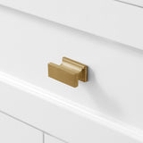 Golden retriever puppy playing with a ball