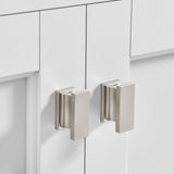 Golden retriever puppy playing with a ball