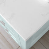 Golden retriever puppy playing with a ball