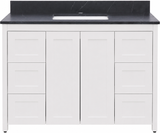 Hanleigh 48" Shaker Door Bathroom Vanity