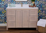 Hanleigh 48" Shaker Door Bathroom Vanity