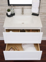 Gunner 30" Wall Mount Shaker Door Bathroom Vanity